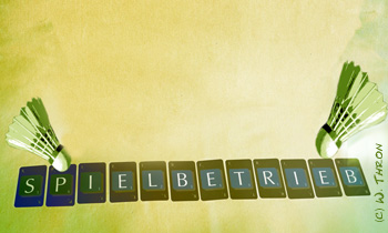 Collage Spielbetrieb O19 - (c) Wenke Thron
