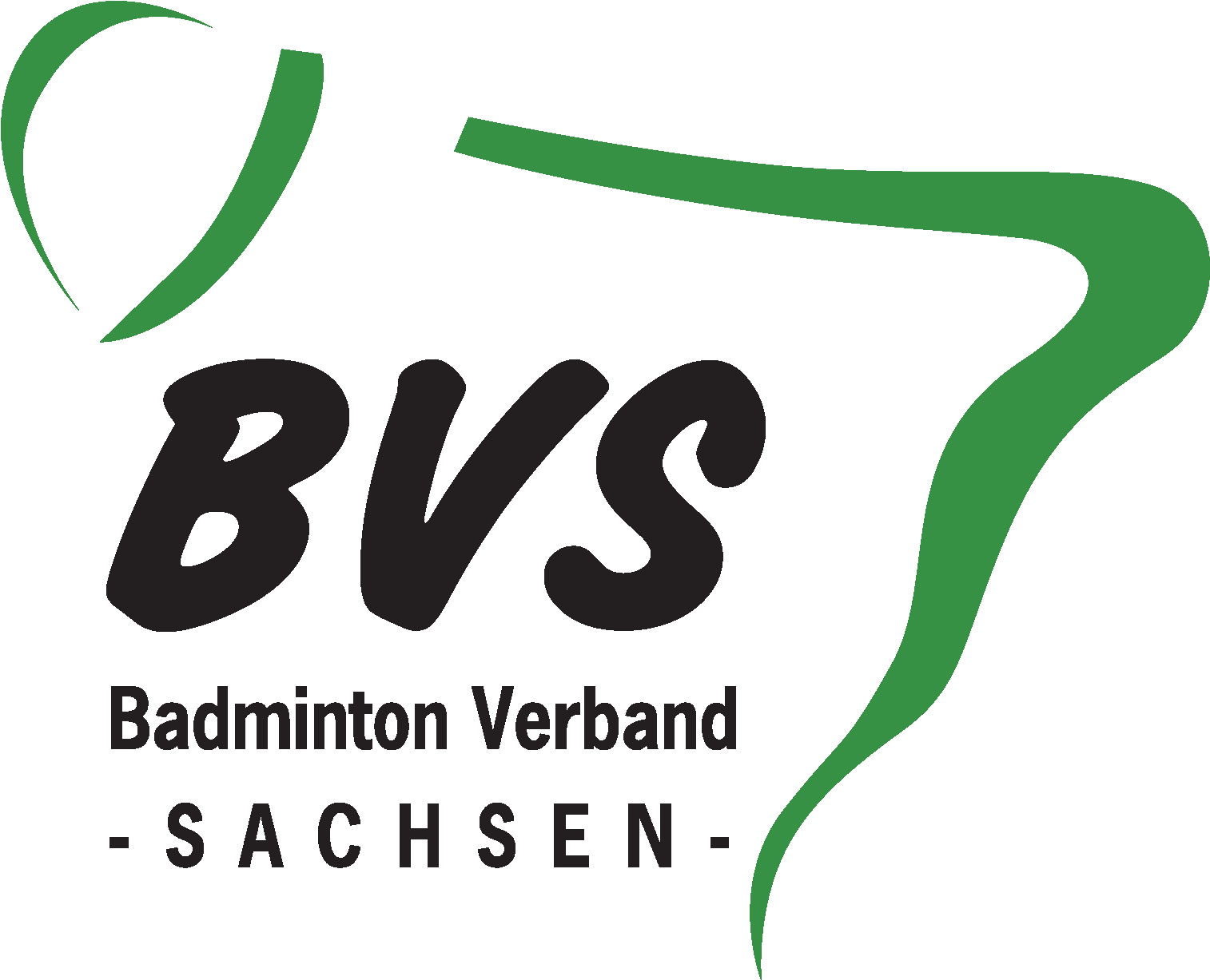 Logo des BV Sachsen